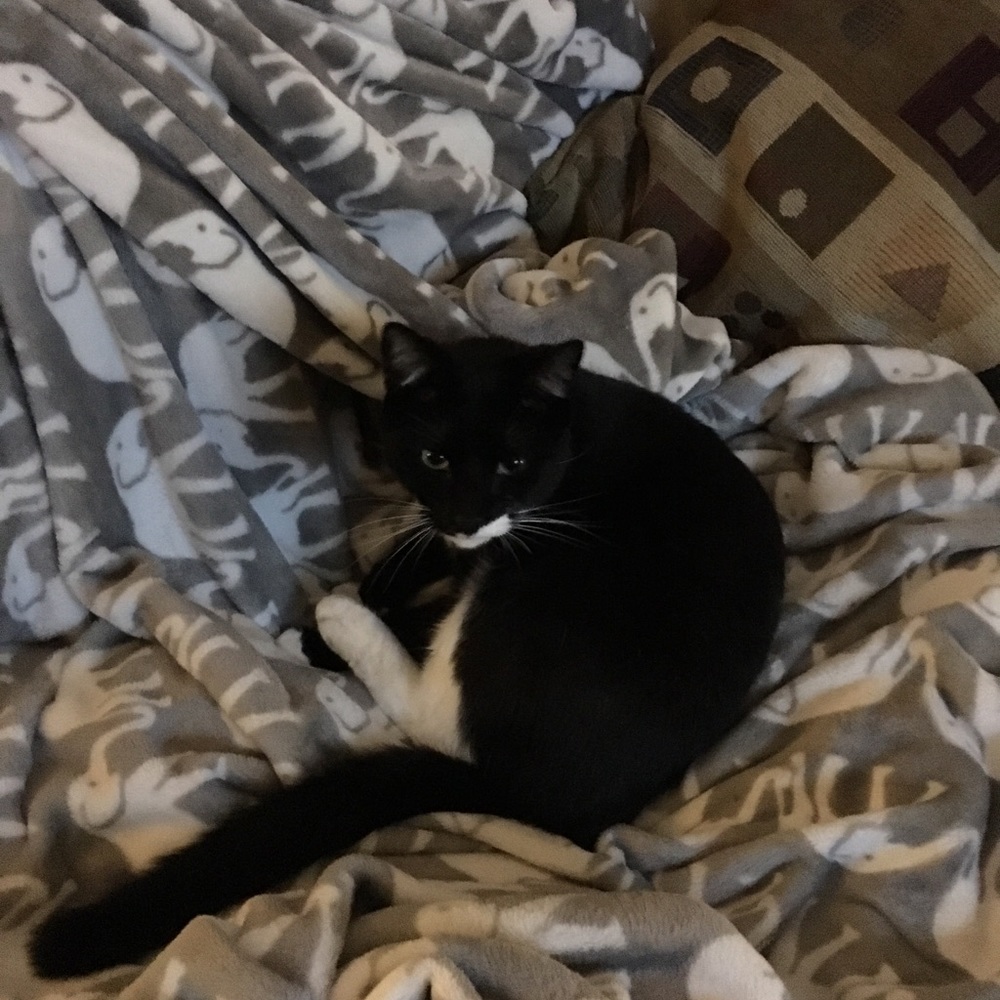 Meet your Posher, Michael